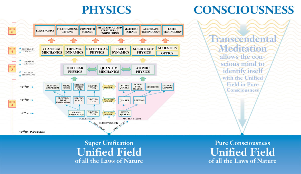 Physics and the Unified Field